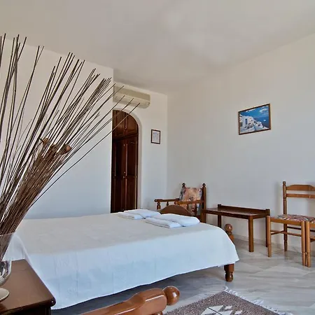 Hotel Alex