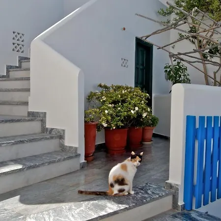 Alex 호텔 투를로스